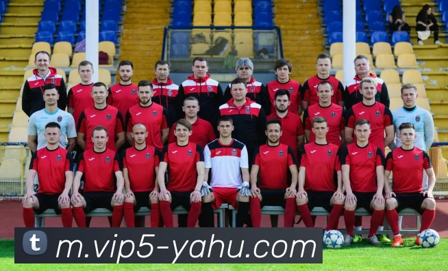 App Interface Preview